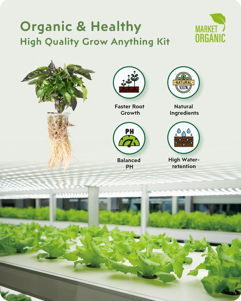 URUQ 140Pcs Hydroponic Pods Supplies: Grow Anything Kit with 35 Grow Sponges, 35 Grow Baskets, 35 Grow Domes, 35 Pod Labels - Compatible with Hydroponics Growing System Indoor Garden from Most Brands - Image 2